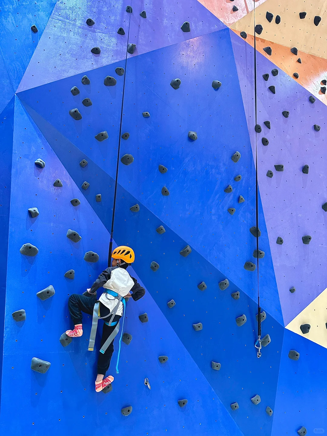 1040g2sg31cupdsbt10c05pi0if9gu91k8315km0!nd_dft_wlteh_webp_3